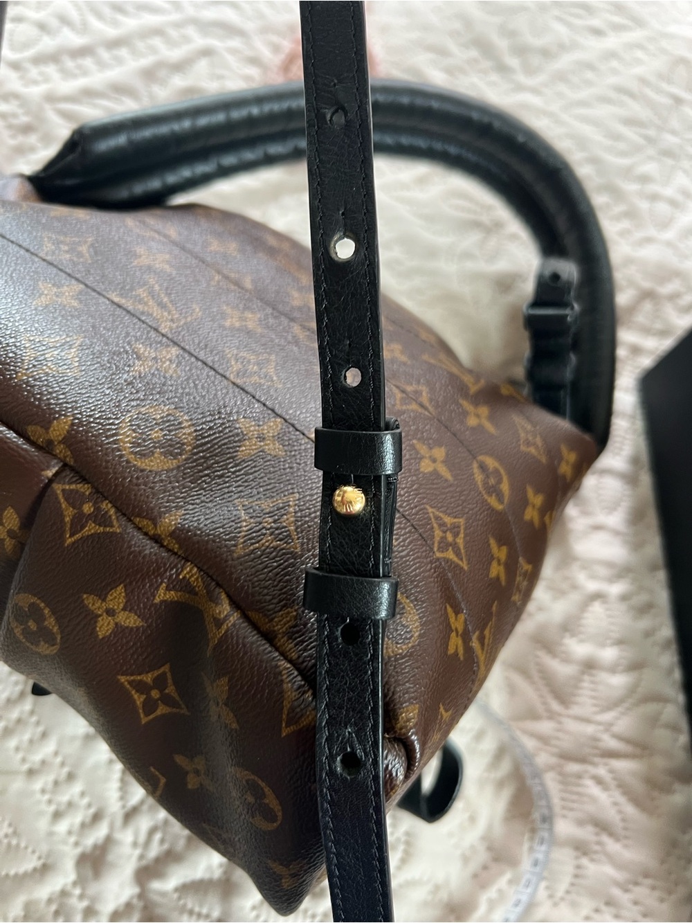 Louis Vuitton Monogram Palm Springs PM Backpack - Picture 12 of 16